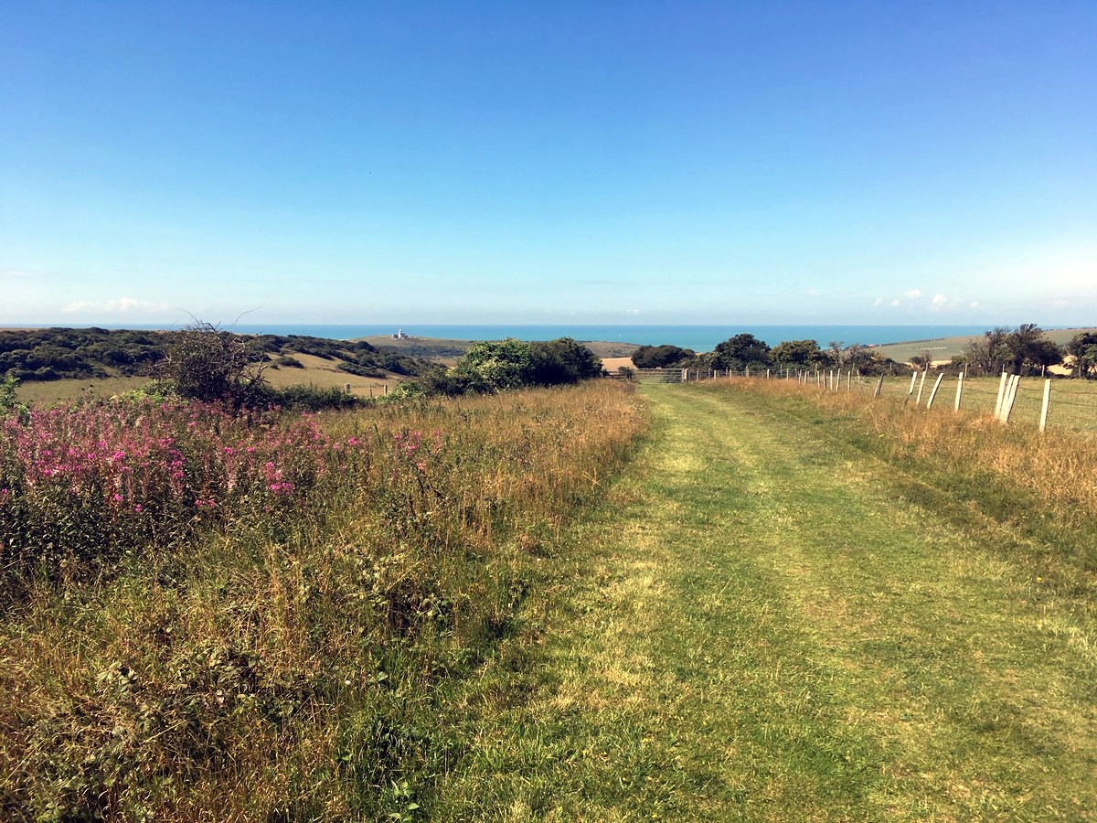 South Downs National Park East Dean to Beachy Head Trail Across Long Down